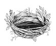Illustration of a bird's nest. Hand drawn sketch converted to vector. Black on transparent