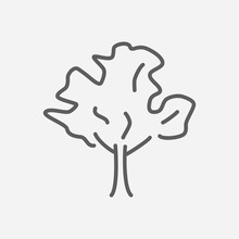 Walnut Tree Icon Line Symbol. Isolated Vector Illustration Of Icon Sign Concept For Your Web Site Mobile App Logo UI Design.