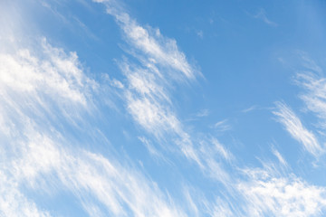Wall Mural - Beautiful blue sky with cirrocumulus white clouds