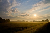 Fototapeta Natura - sunset over wheat field