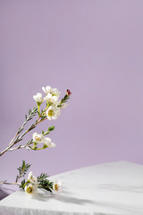 Pastel purple and white stone marble display set for product background decorate with white flower