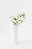 Fototapeta Kwiaty - White flowering branch in the vase.White background.Copy space.Mockup for design.