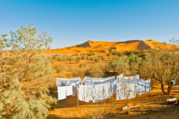 Wall Mural - Dunes of Erg Chebbi at Morocco