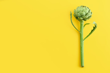 Fresh green artichoke on yellow background