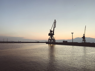 Silhouettes of the cranes in the sea port