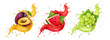 Set of fruit juice splash. White grapes, watermelon, plum Vector