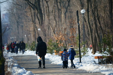 Wall Mural - people walking in park in winter