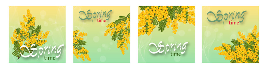 Wall Mural - mimosa on light background, yellow flowers. set templates for spring holidays, banners social networ