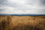 Fototapeta Na sufit - Yellow dried grass on the field against the blue sky and mountains on the horizon. Balkan mountains, a sun-baked field in Bulgaria
