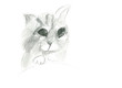 Kot szkic ołówkiem, rysunek dziecka