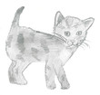 Kot szkic ołówkiem, rysunek dziecka
