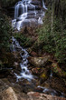 Daniel Ridge Waterfall in Pisgah National Forest Brevard NC