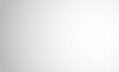 Wall Mural - white silver geometric universal background for business presentation . abstract elegant seamless pa