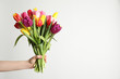 Woman holding beautiful spring tulips on white background, closeup. Space for text