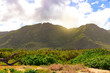 Hawaiian mountains