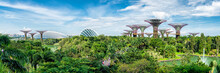 Gardens By The Bay In Singapore 
