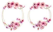 Cherry Blossom, A Cherry Blossom Branch With Pink Flowers In A Golden Round And Oval Frame On A White Isolated Background. Image Of Spring. Frame. Watercolor Illustration. Design Element