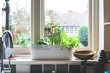 Window box with herb garden and spring bulbs growing in a home kitchen interior