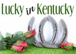 Kentucky derby image of a pair of horseshoes and red roses on green grass with white background. Text added.