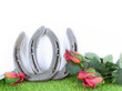 Kentucky derby image of a pair of horseshoes and red roses on green grass with white background. Copy space