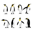 Cute penguins set logo