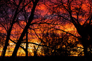 Wall Mural - Colorful Colorado Sunrise