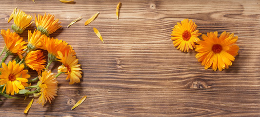 calendula flowers on dark wooden background