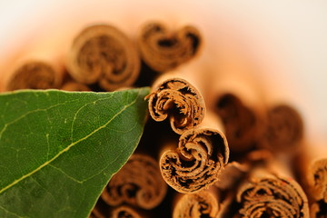 ceylon cinnamon sticks wholesale packaging