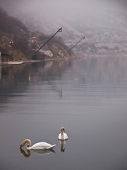 Wall Mural - coast