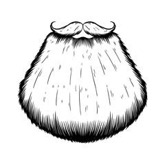 Wall Mural - Illustration of beard in engraving style on white background. Design element for logo, label, emblem, sign.