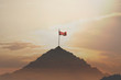 © Cristina Conti - flag planted on top of a mountain, success concept