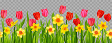 Floral Seasonal Decor With Daffodils And Tulips