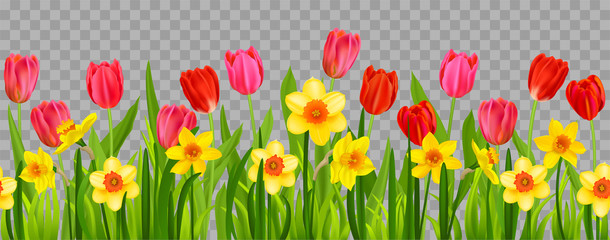 Wall Mural - Floral seasonal decor with daffodils and tulips