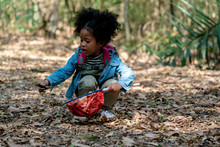 American Mixed Race Kid Girl Playing With Net In Jungle.