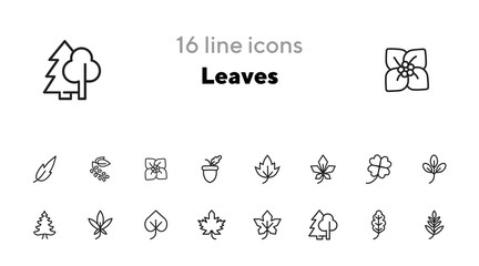 Wall Mural - Leaves icon. Set of line icons on white background. Forest, fall, European flora. Trees concept. Vector illustration can be used for topics like season, botany, biology