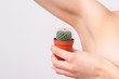 © okskukuruza - Young woman holding green cactus near armpit, concept of depilation, sugaring, epilation and removal hair.