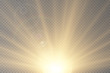 © Vitalii - Vector transparent sunlight special lens flare light effect.