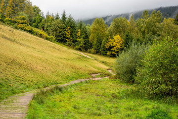 Poster - Vosges mountains scenery