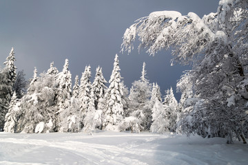 Winter in the mountains