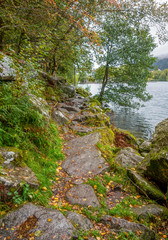 Sticker - around Lac de Gerardmer in France