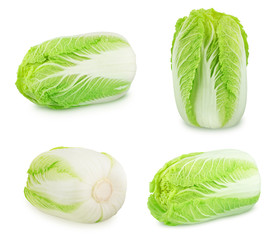 Canvas Print - Set of fresh whole chinese cabbages isolated on a white background.