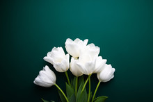 White Tulips On Green Background Top View. Happy Spring Holidays. Valentine's Day. Birthday. Women's Day. Easter. Flower Wedding Card, Invitation, Banner