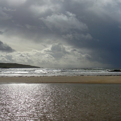 landscape with ocean shore in summer