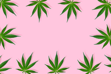 Wall Mural - Floral square frame made of hemp leaves on pink background.