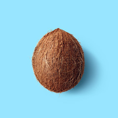 Canvas Print - Whole coconut on blue background