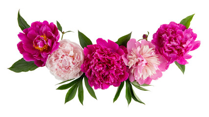 Wall Mural - Line composition of arrangement peony flowers isolated on white. Beautiful  garland of  pink peonies.  Close up, top view.