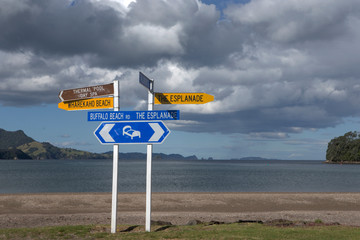 Wall Mural - Whitianga coast New Zealand. Signs Coromendel. Directiion sign. Bed and breakfast sign. 