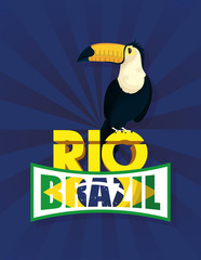 Canvas Print - brazil carnival poster with tucan exotic bird