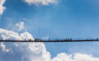 © venemama - Silhouette of people crossing the suspension bridge at Geierlay, Germany