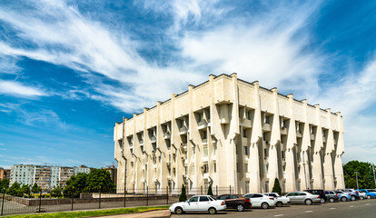 Canvas Print - Vladikavkaz city hall in Russia